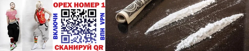 COCAIN Fish Scale  Олонец 