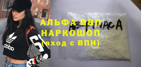спайс Арсеньев