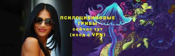 спайс Арсеньев